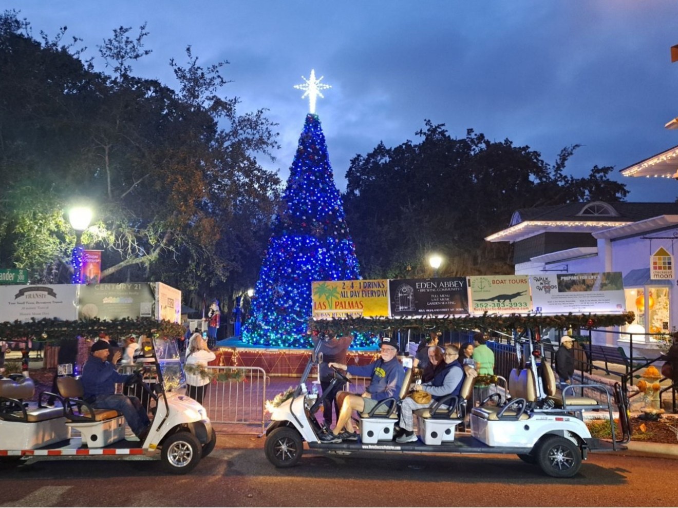 Join Mount Dora Transit and Tours for a Christmas Lights Tour!