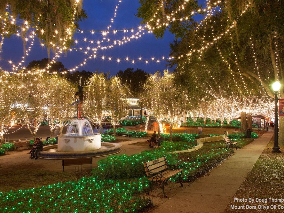 Donnelly Park in Mount Dora, FL filled with Christmas Lights