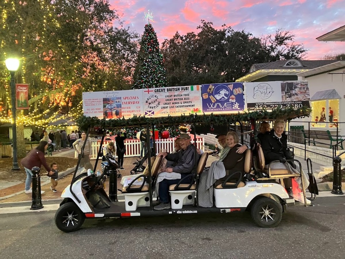 Mount Dora Transit and Tours Christmas Lights Tour in Mount Dora, FL